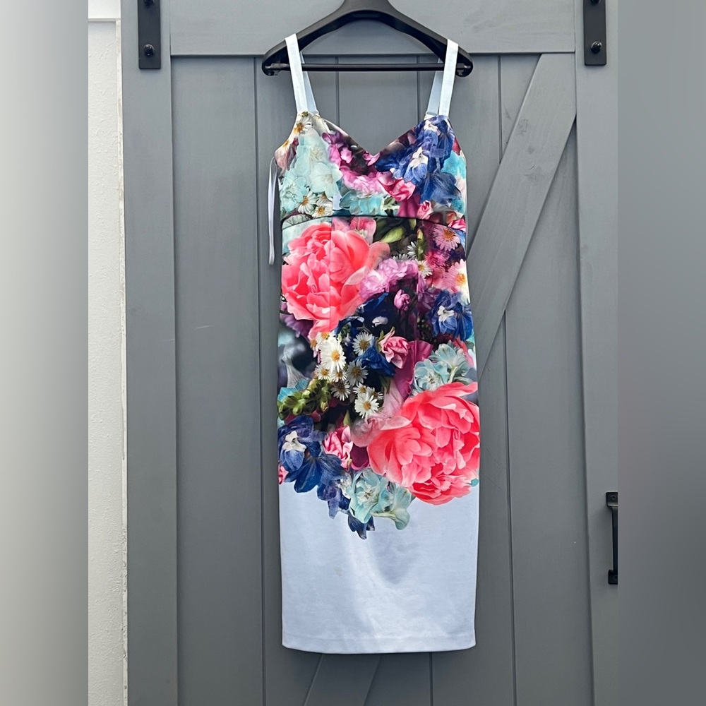 Ted baker beautiful watercolor dress